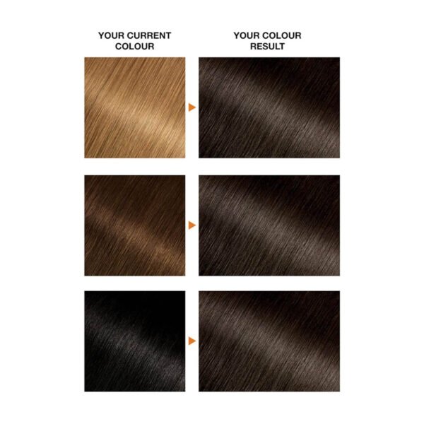 Garnier Belle Color 4 Natural Dark Brown Permanent Hair Dye - Image 2