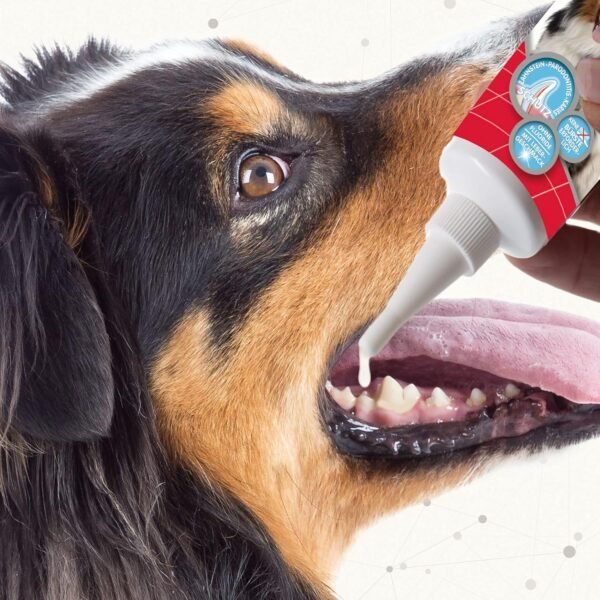 Beaphar | Advanced Dual-Enzyme Toothpaste | Dental Care for Dogs & Cats | Helps Prevent Bad Breath & Combat Plaque | Liver-Flavoured | 100g Tube - Image 4